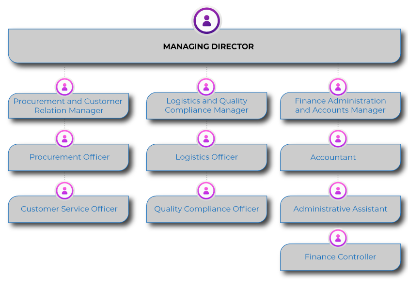 COMPANY-STRUCTURE